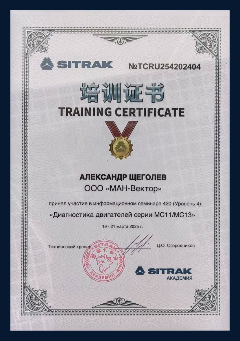 1 сертификат АВТОМАНИЯ